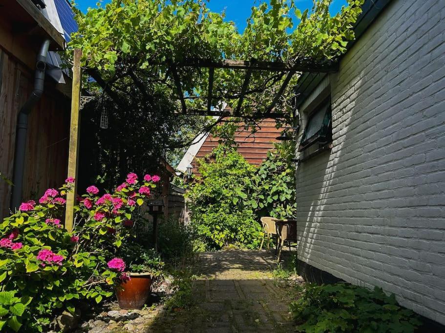 Onder De Kastanje! Villa Koedijk Exterior photo